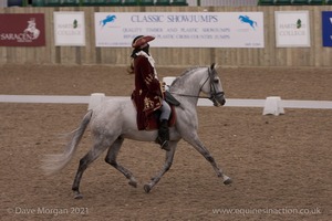 Lusitano Breed Society of Great Britain Show - Hartpury College - 27th June 2009